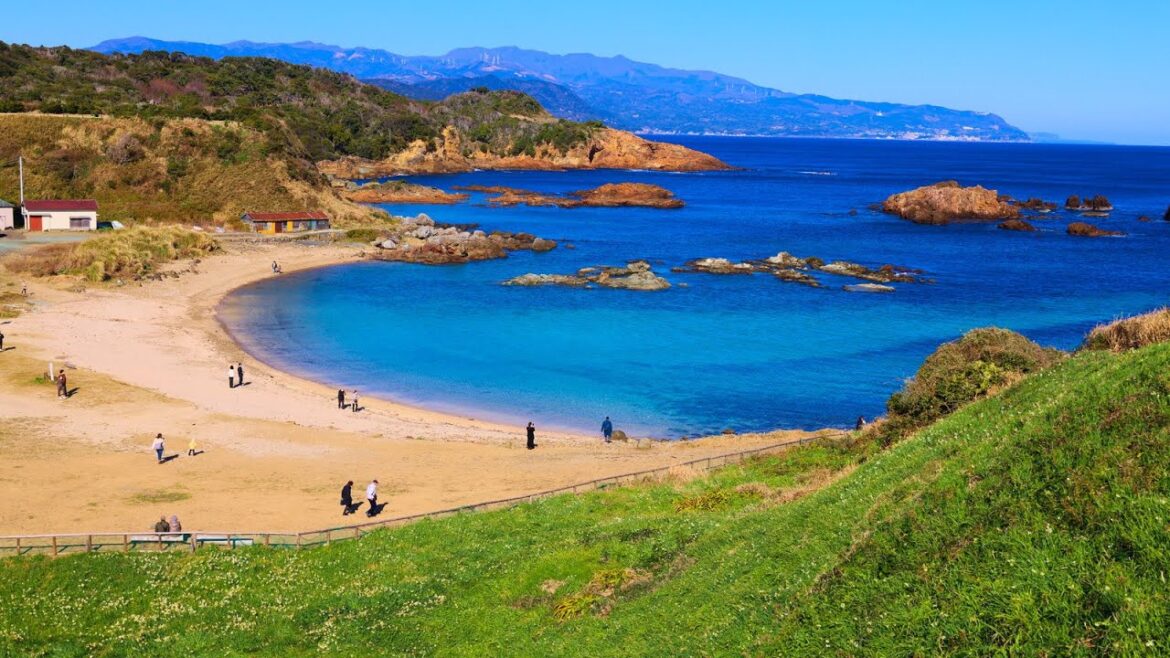 8K HDR 静岡 下田爪木崎のスイセンとエメラルドの海と柱状節理(県天然記念物)  Shizuoka,Tsumekizaki,Narcissus+Blue Water+Columner Joints