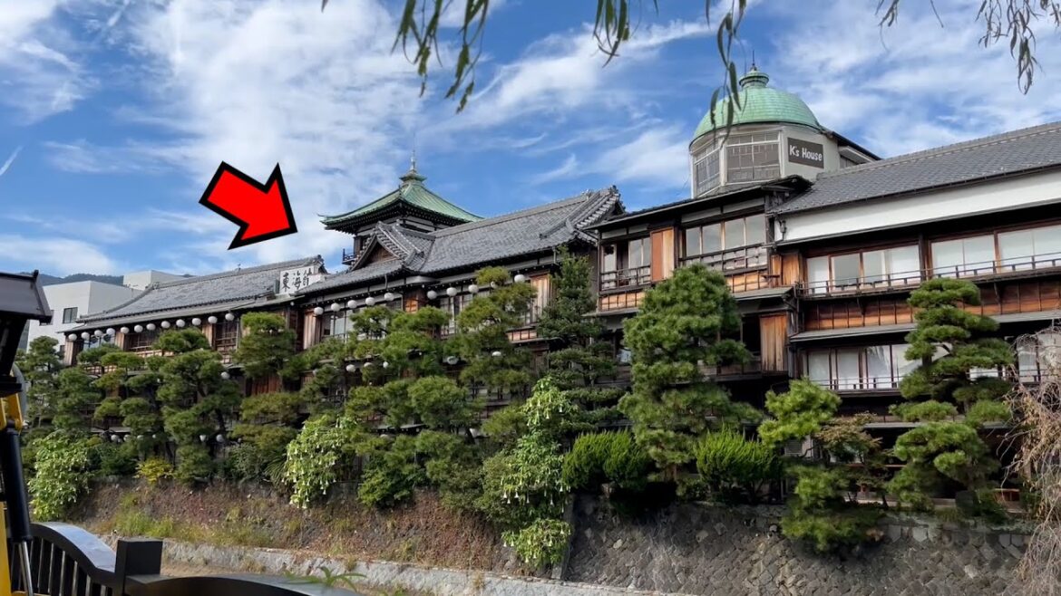 [Day 1] Winter Travel in Izu peninsula 🌊 Going around the Plateau from a wooden Onsen Ryokan ♨️｜vlog