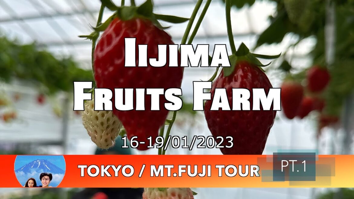 Iijima Fruits Farm : Tokyo / Mt.Fuji Tour Pt.1