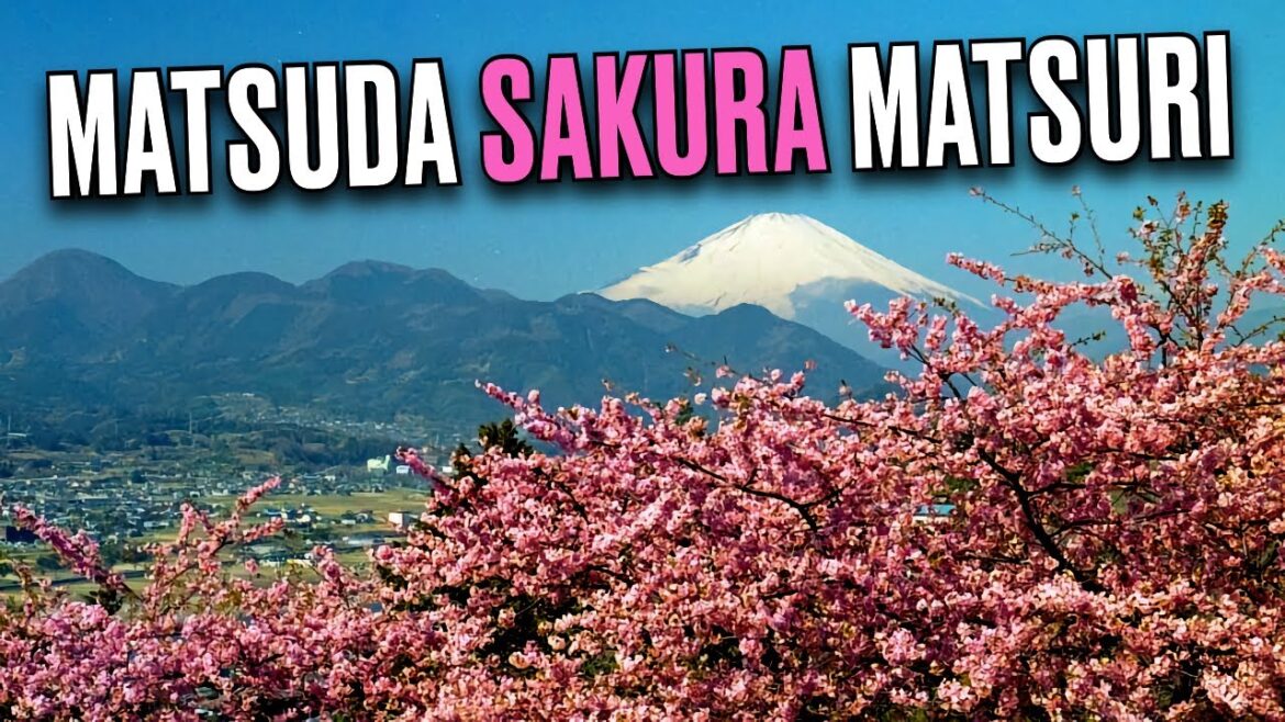 π΄πΈπ Japan LIVE – Matsuda Cherry Blossom Festival and MEGA Slide! π΄πΈπ Japan LIVE - Matsuda Cherry Blossom Festival and MEGA Slide!