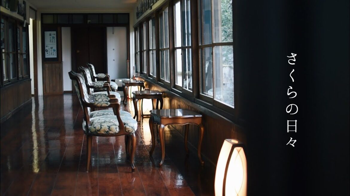 Japan Travel Vlog | A trip to heal your heart / Go to Shuzenji hot spring / Country trip 2020 Japan Travel Vlog | A trip to heal your heart / Go to Shuzenji hot spring / Country trip 2020