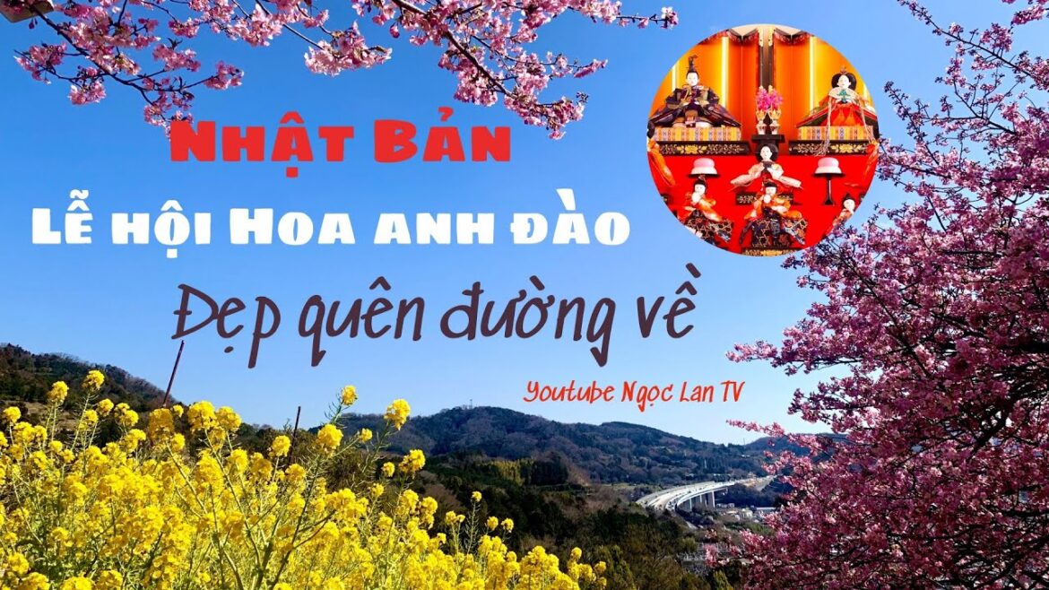 Lễ hội hoa anh đào Nhật Bản| Mùa Hoa Sakura 2023| Du lịch Nhật Bản| Sakura in Japan| Japan travel|桜 Lễ hội hoa anh đào Nhật Bản| Mùa Hoa Sakura 2023| Du lịch Nhật Bản| Sakura in Japan| Japan travel|桜