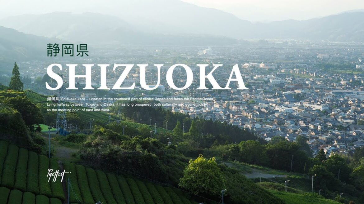Shizuoka ชิซึโอกะ เมืองชาเขียวแห่งญี่ปุ่น | Gogetlost Shizuoka ชิซึโอกะ เมืองชาเขียวแห่งญี่ปุ่น | Gogetlost
