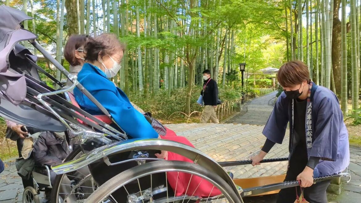 Shuzenji, Izu (伊豆修善寺), Japan - Shuzenji town tour in a Jinrikisha (人力車 - "Human-pulled Rickshaw")