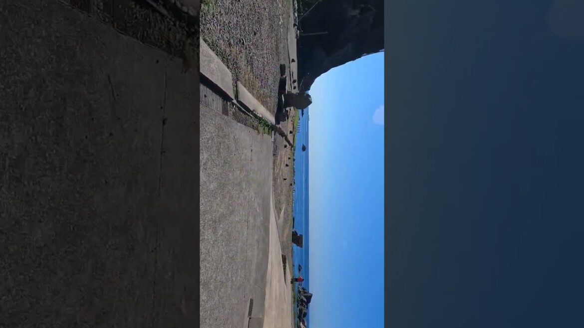 Tour express por un Santuario de Monos salvajes! Tour express por un Santuario de Monos salvajes!