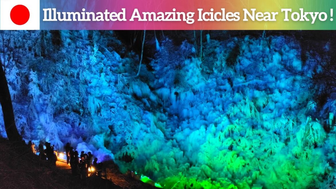 【Japanese Lighting Displays】Fantastic, Colorful Icicles in Ashigakubo – A Day Trip from Tokyo! 【Japanese Lighting Displays】Fantastic, Colorful Icicles in Ashigakubo - A Day Trip from Tokyo!