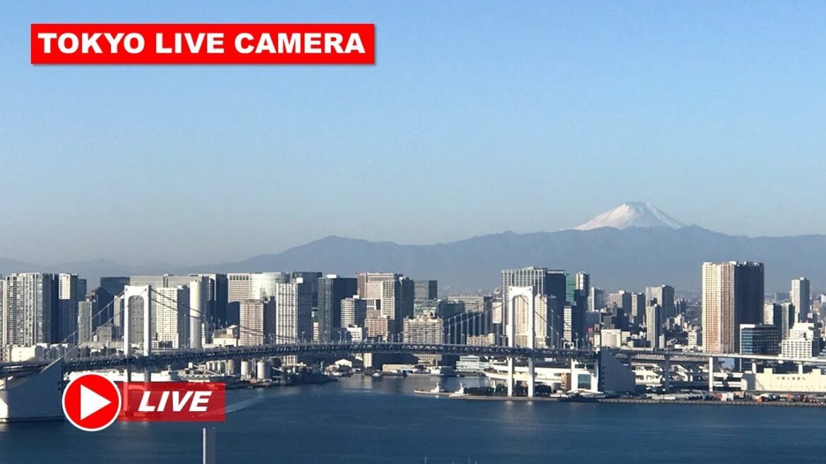 【Live/Relaxing music】レインボーブリッジ＆豊洲市場＆富士山 東京湾岸ライブカメラRainbow Bridge&TOYOSU Market&Mt.FUJI TOKYO LIVECAM