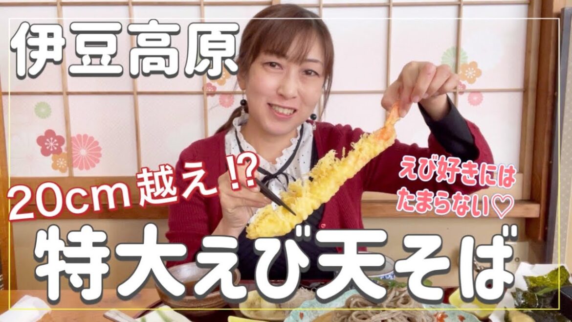 【伊豆高原】20cm越え⁉︎サクッサクッの特大えび天が食べられるお蕎麦屋さん #伊豆グルメ #大室山 #河津桜 #蕎麦 【伊豆高原】20cm越え⁉︎サクッサクッの特大えび天が食べられるお蕎麦屋さん #伊豆グルメ #大室山 #河津桜 #蕎麦