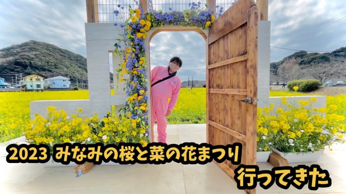 【南伊豆 河津桜2023】2.16みなみの桜と菜の花まつり ライブカメラ 見頃 開花予測 河津櫻 kawazu sakura cherry blossoms live camera 【南伊豆 河津桜2023】2.16みなみの桜と菜の花まつり ライブカメラ 見頃 開花予測 河津櫻 kawazu sakura cherry blossoms live camera