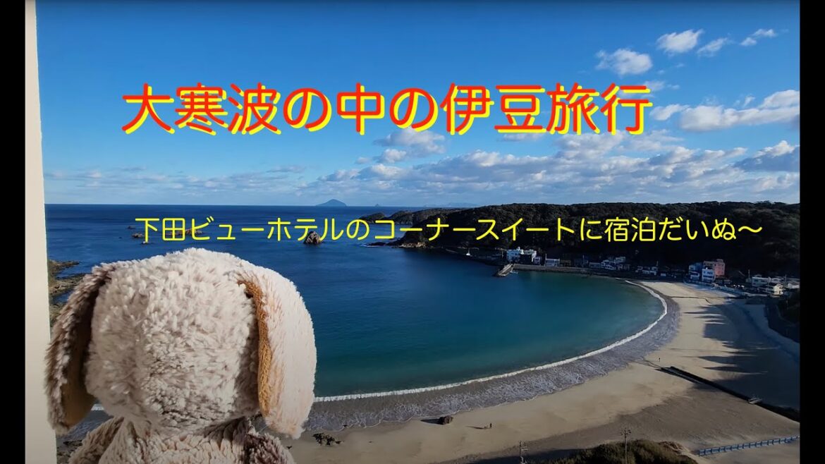最強寒波の中のドライブ旅行１日目。下田ビューホテルのコーナースイートでオーシャンビューを堪能だいぬ〜   Road trip in the strongest cold wave.(day1)