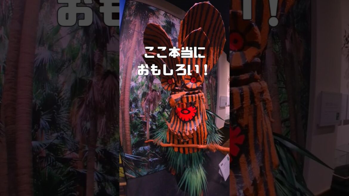 【無料】神コスパで学べて大満足★鹿児島県立博物館は誰もが盛り上がれる場所♪鹿児島観光★体験/鹿児島県 #shorts 【無料】神コスパで学べて大満足★鹿児島県立博物館は誰もが盛り上がれる場所♪鹿児島観光★体験/鹿児島県 #shorts