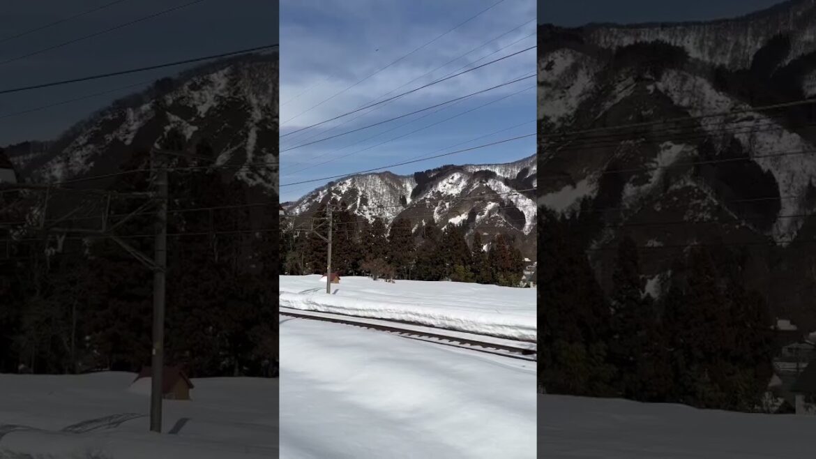 【E2系引退】越後湯沢で弾丸旅行 2023.02.12