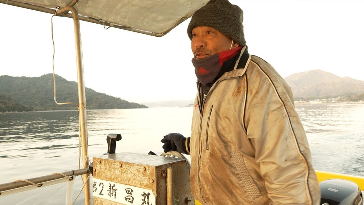 広島かき小屋【島田水産】本当の生産現場なのでガチ！勝手に焼いて勝手に喰う! Japanese Oyster in Hiroshima