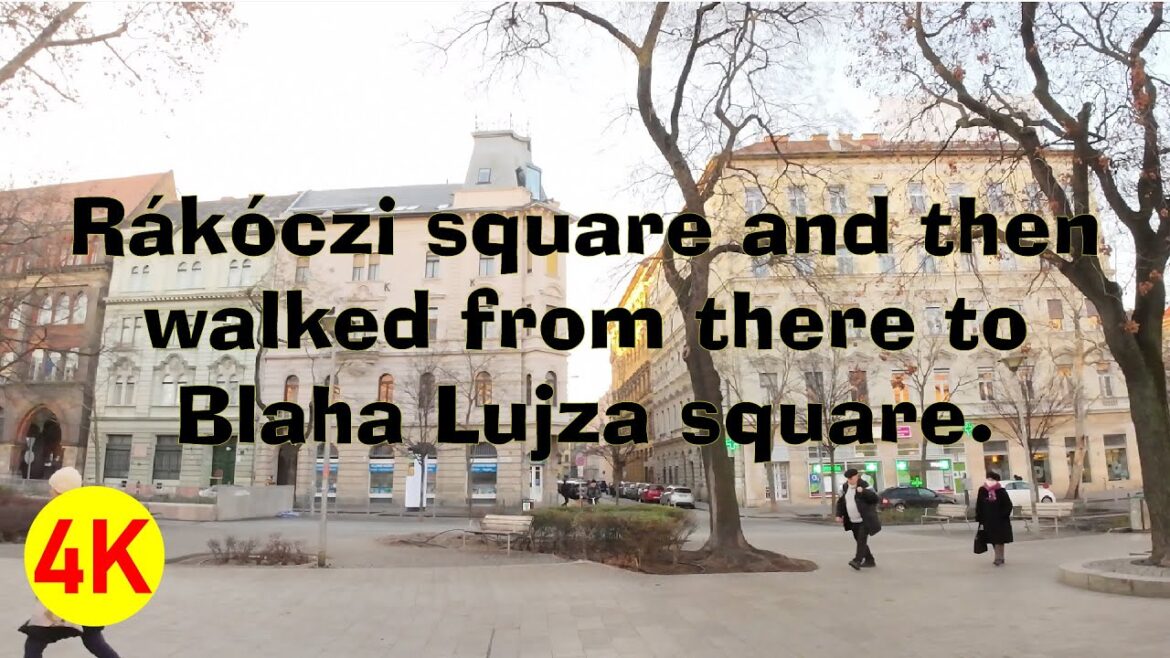 We took the metro line 4 to get to Rákóczi square and then walked from there to Blaha Lujza square. We took the metro line 4 to get to Rákóczi square and then walked from there to Blaha Lujza square.