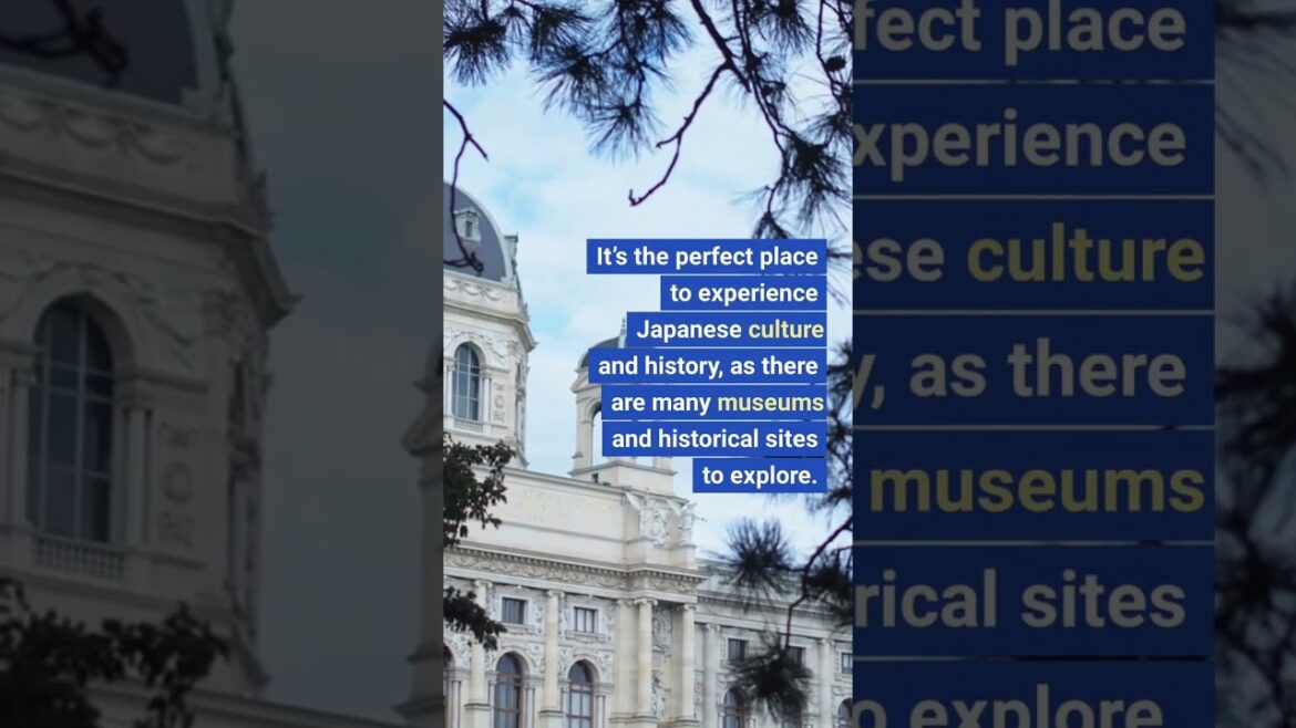 Travel from USA to Japan π have you seen #kyoto ? Comment below β¬οΈ #japan #shorts Travel from USA to Japan π have you seen #kyoto ? Comment below β¬οΈ #japan #shorts