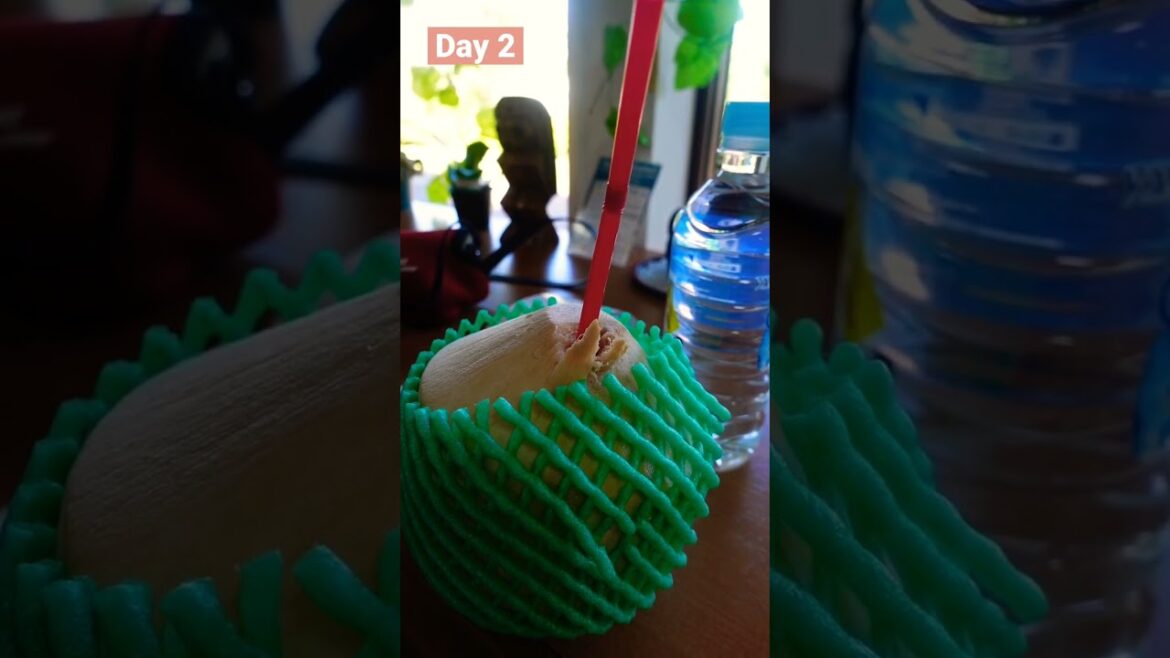 What I eat | in Okinawa #shorts #abroadinjapan