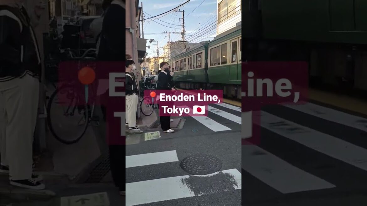 Enoden line in Tokyo #shorts #youtubeshorts #enoden Enoden line in Tokyo #shorts #youtubeshorts #enoden
