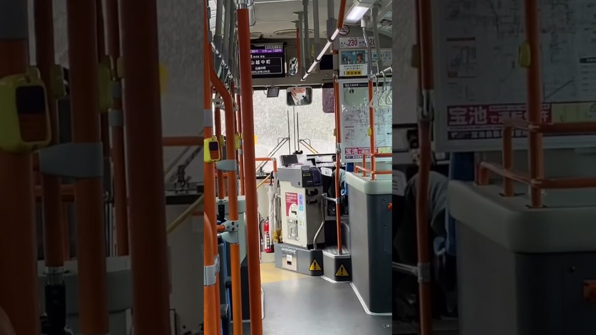 京都旅行✈️⛩🍵　Kyoto❗️