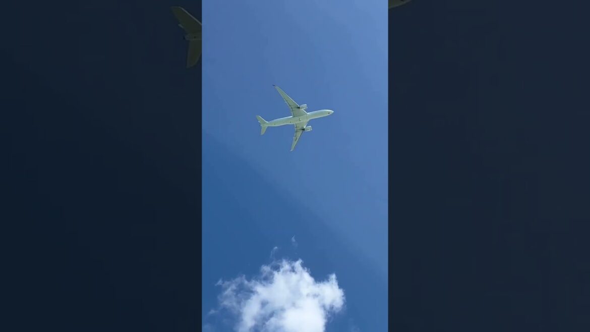 #沖縄 #travel #離陸 #オリオンビーチ #jgc #Short #short