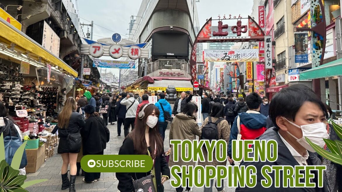Tokyo Ueno Shopping Street 2023