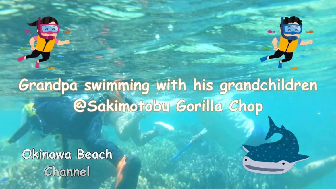 Okinawa Beach, Grandpa swam with his grandchildren at Sakimotobu Gorilla Chop [short video]