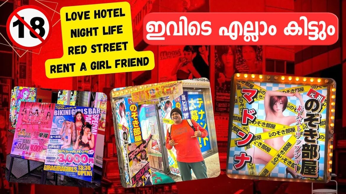 18+ Japanese Love Hotel & Night Life | Red Street in Tokyo | Renting a Girl Friend in Japan 🇯🇵
