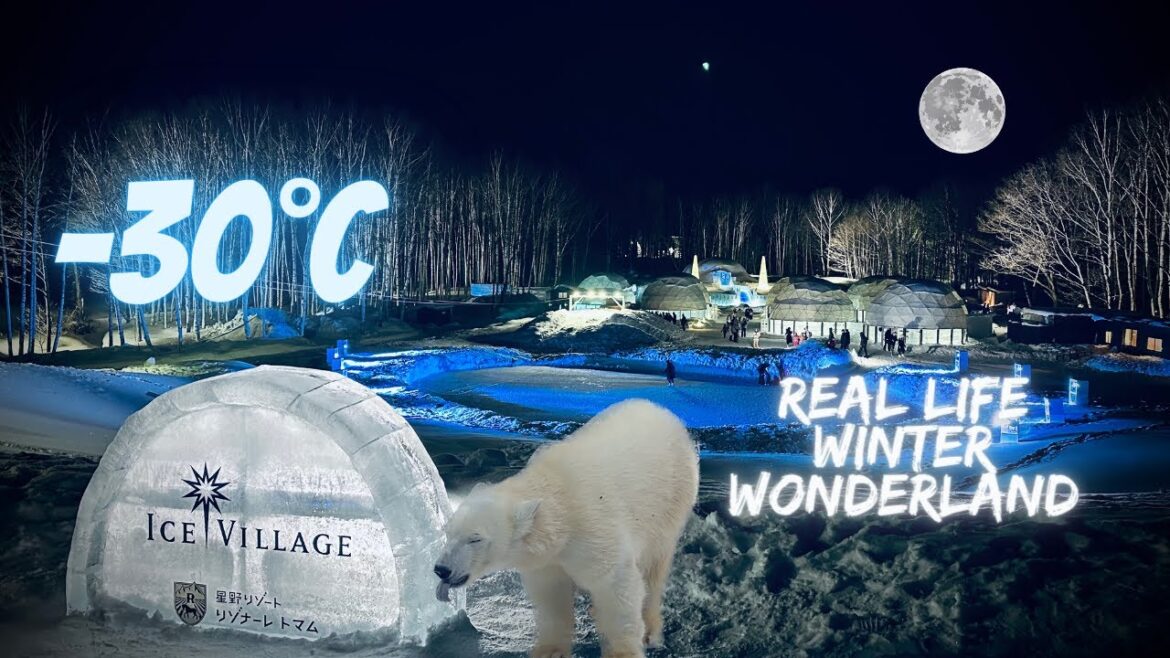 ASAHIYAMA ZOO | SHIROGANE BLUE POND | ICE VILLAGE | HOKKAIDO, JAPAN | RAMVID #56 ASAHIYAMA ZOO | SHIROGANE BLUE POND | ICE VILLAGE | HOKKAIDO, JAPAN | RAMVID #56