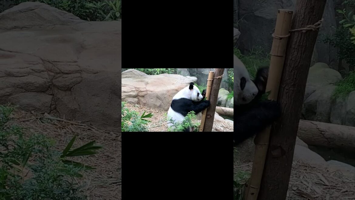 Best Places To Visit In Japan