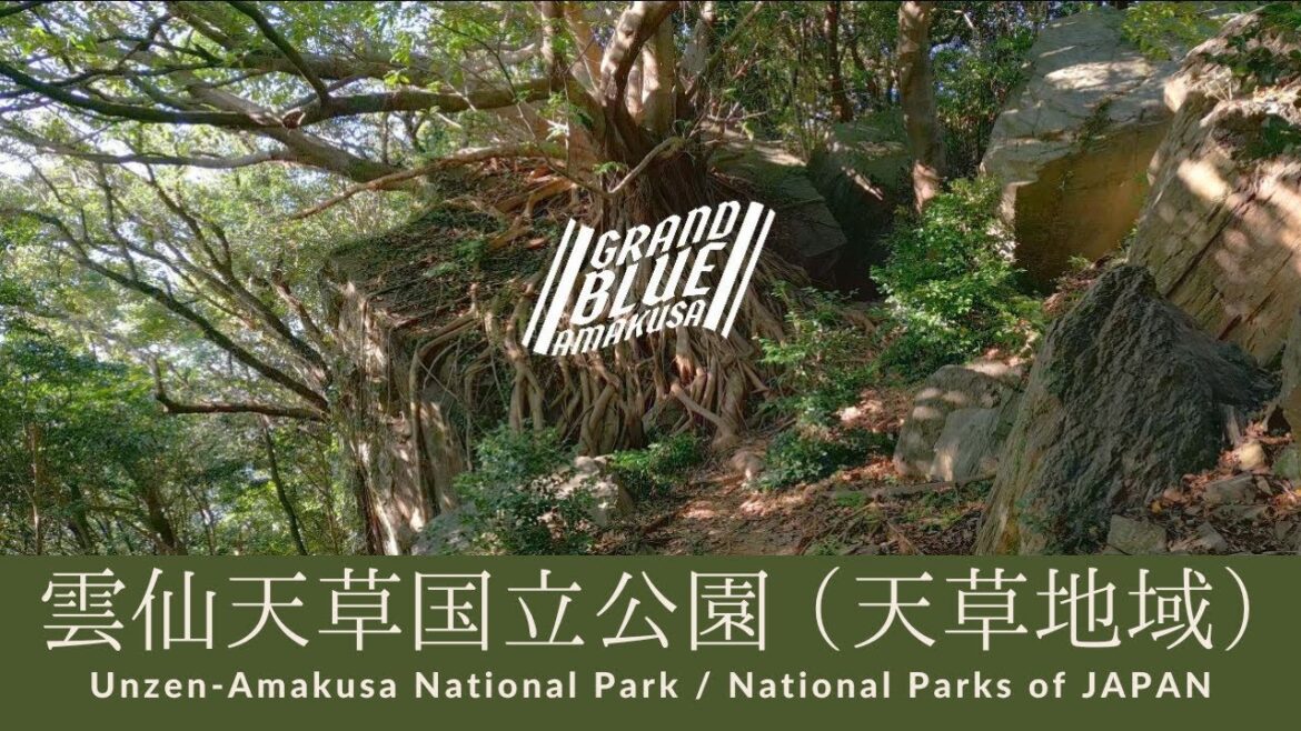 GRAND BLUE AMAKUSA 雲仙天草国立公園天草地域PR動画 #天草 #国立公園 #自然 GRAND BLUE AMAKUSA 雲仙天草国立公園天草地域PR動画 #天草 #国立公園 #自然