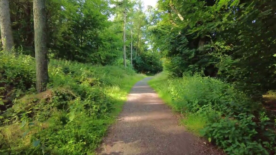 [4k] Ireland, Wicklow, Blessington, lakes country, walking tour ,Part 10, Dji Pocket 2