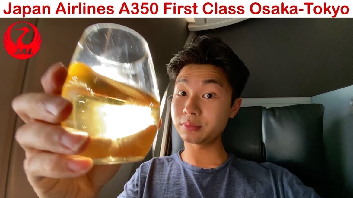 1 Hour JAL A350-900 FIRST CLASS Domestic Flight