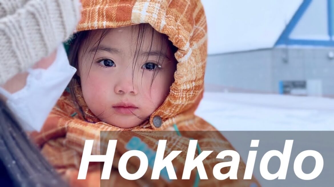 Travel to Hokkaido in Snow Season