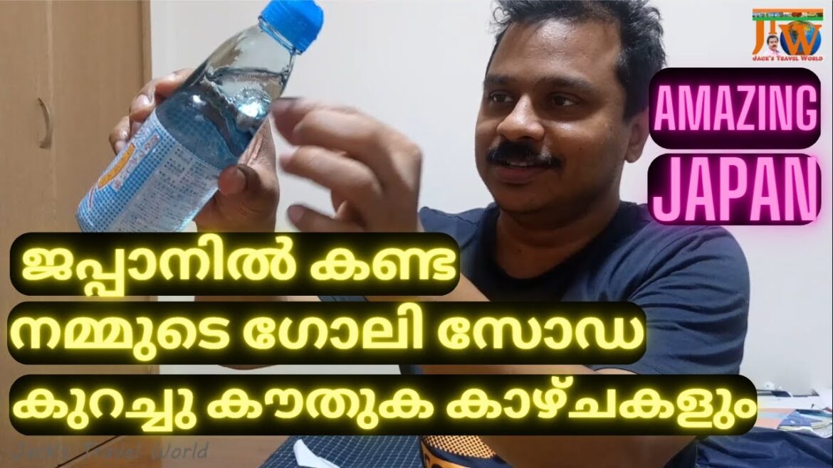 ജപ്പാനിലെ ചില കൗതുക കാഴ്ചകൾ ഞാൻ പകർത്തിയത്, Amazing Things In Japan Portraid During My Japan Visit