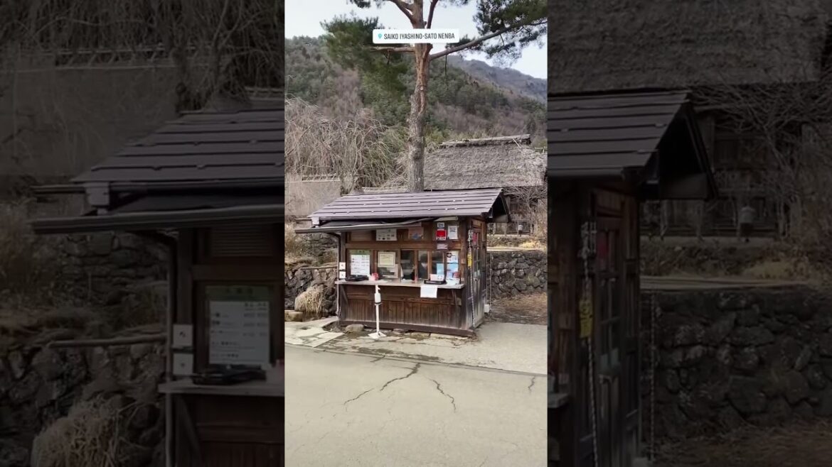 หมู่บ้านอิยาชิโนะ Saiko Iyashi-no #iyashino #japan #trip #fuji หมู่บ้านอิยาชิโนะ Saiko Iyashi-no #iyashino #japan #trip #fuji