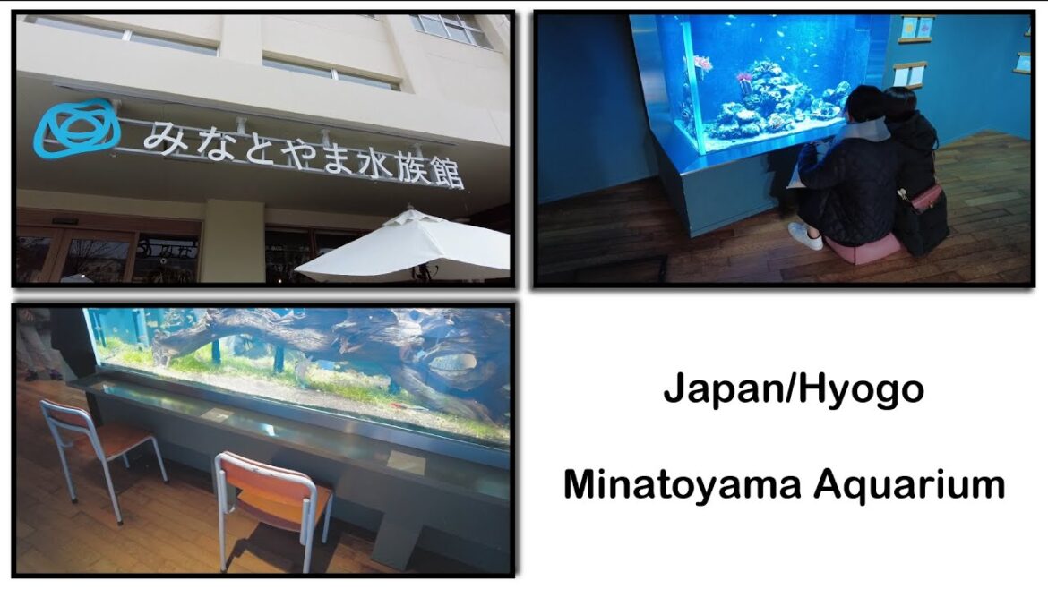 Travel Diary to Minatoyama Aquarium in Kobe | Japan📘