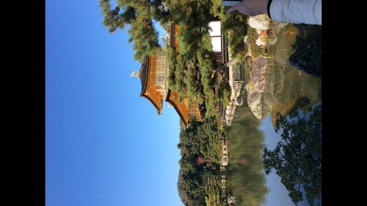 Adventures through Japan and Busan South Korea,