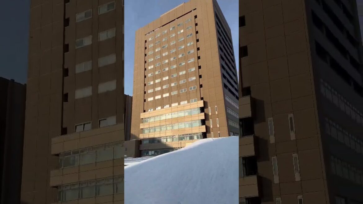 令和5年3月2日AM0745、札幌医科大学 #shorts #札幌医科大学 #雪 #sapporo