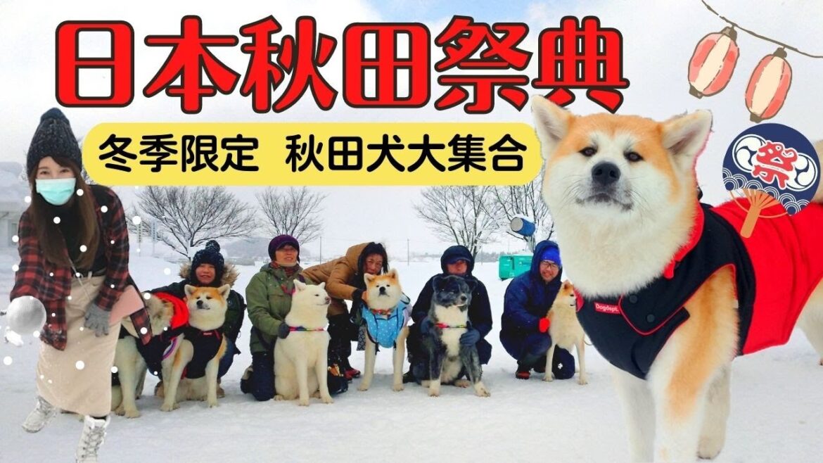 【日本雪國祭典】秋田縣犬子祭 最萌犬種大集合!雪雕神社、攤販美食、可愛狗狗一次滿足|湯澤犬子祭 犬子雪祭 犬っこまつり 【日本雪國祭典】秋田縣犬子祭 最萌犬種大集合!雪雕神社、攤販美食、可愛狗狗一次滿足|湯澤犬子祭 犬子雪祭 犬っこまつり