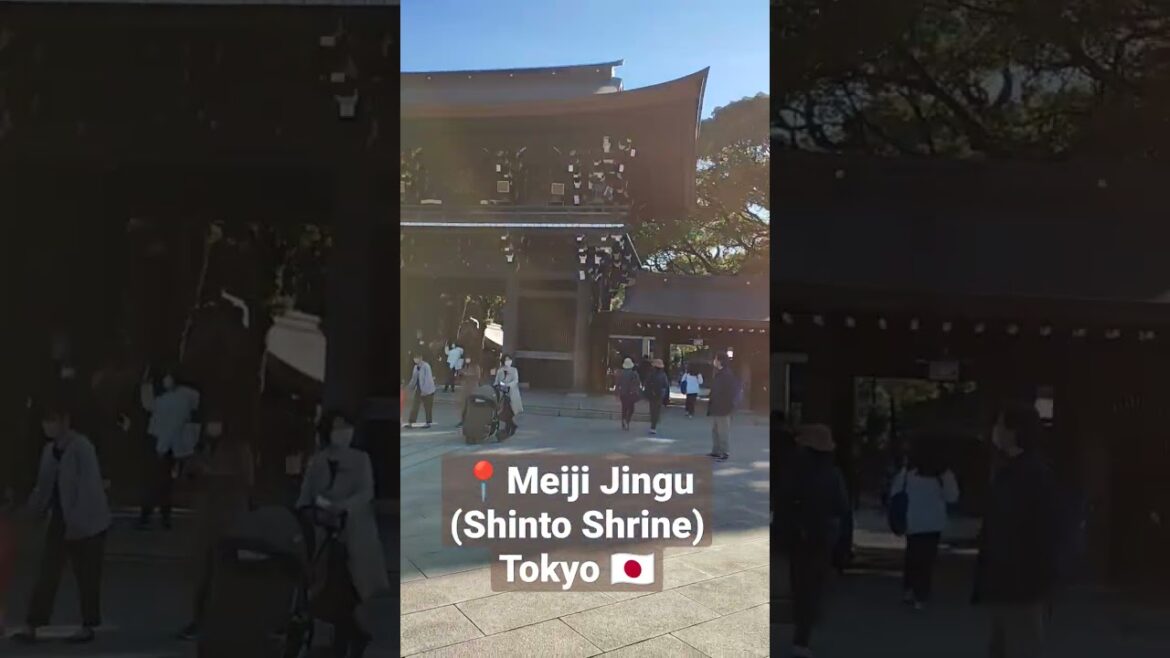 Meiji Jingu Shrine #japanshrine #shrine #meijijingu #meijishrine