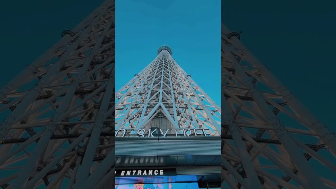TRIP TOKYO #shorts TRIP TOKYO #shorts