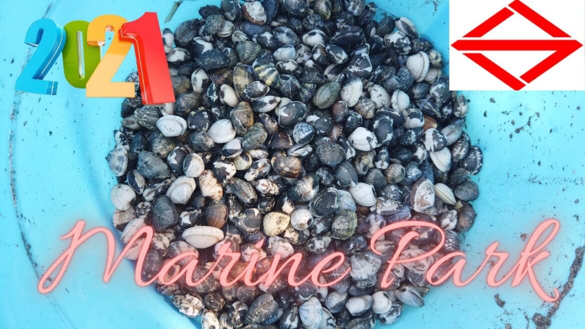 Exploring the Fascinating Marine Life at Marine Park in Yokohama, Japan | Travel Vlog 2021 π―π΅ Exploring the Fascinating Marine Life at Marine Park in Yokohama, Japan | Travel Vlog 2021 π―π΅