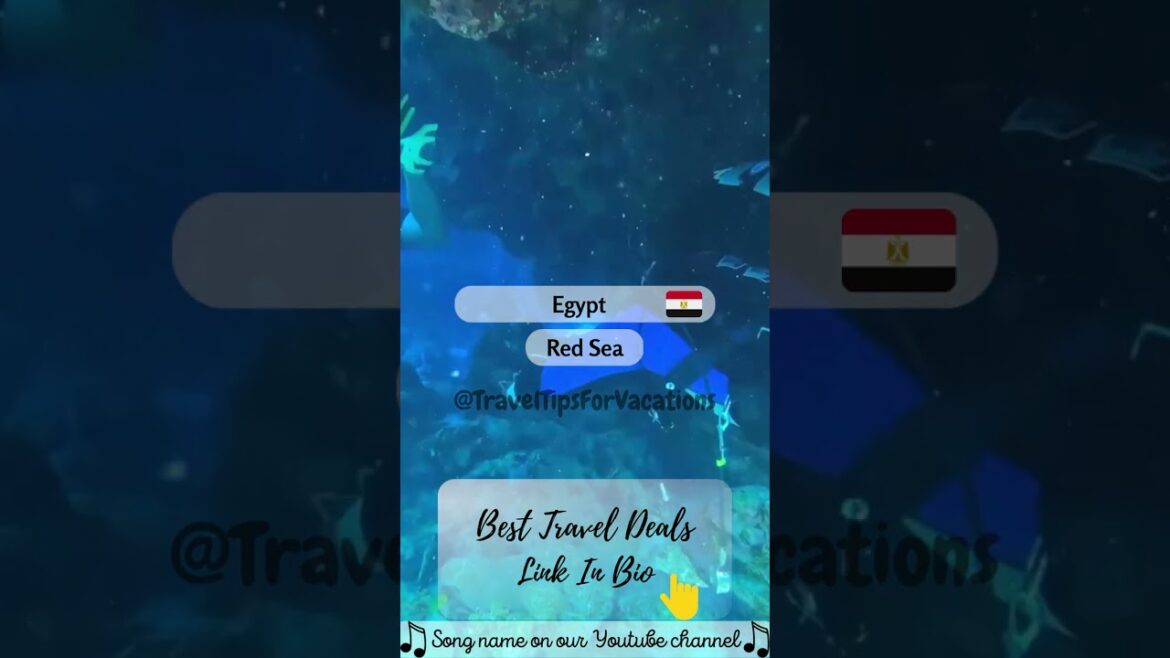 πͺπ¬ Egypt Red Sea #shorts #travel #holiday πͺπ¬ Egypt Red Sea #shorts #travel #holiday