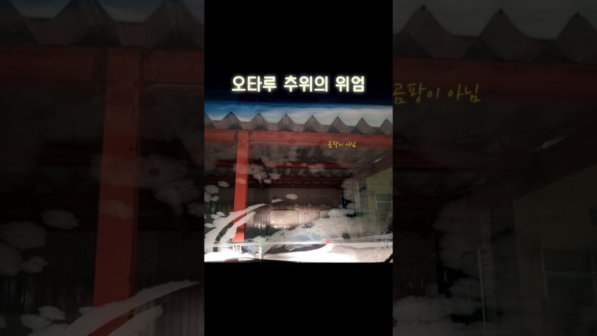 (일반영상) 오타루 추위의 위엄 _ freezing weather in Otaru, Hokkaido