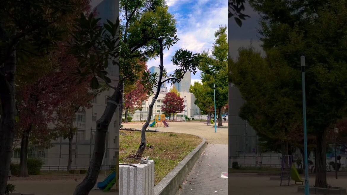 放假🏖放風啦🥳 #週末 #大阪 #公園 #日本旅行  #weekend #vacation #leisure #osaka #park #flyingbirds #traveler #japan