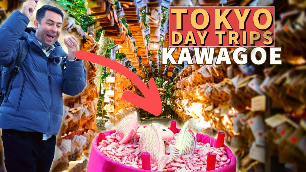 Go Fishing for Your Fortune in KAWAGOE – ONE HOUR FROM TOKYO! Ft. @NomadicGaijin Go Fishing for Your Fortune in KAWAGOE - ONE HOUR FROM TOKYO! Ft. @NomadicGaijin