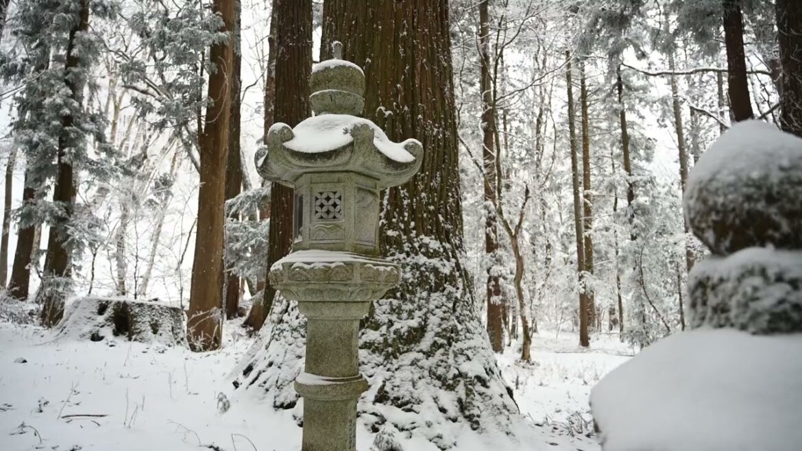 Winter, Snow, Nagano, Japan Hiji Kogen, Hijiridai  Shrine (Okumiya) 雪 長野県 聖高原 樋知大神社（奥宮） 4K