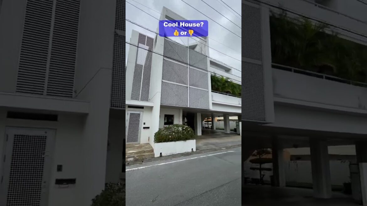 Cool House Okinawa Japan? (Part 3)