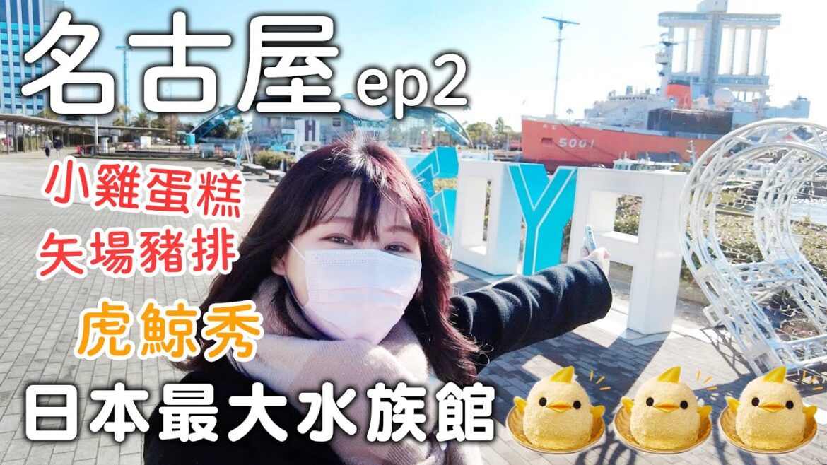名古屋自由行｜日本最大水族館|必吃小雞蛋糕|矢場豬排|sugakiya壽賀喜屋拉麵童年回憶｜日本旅遊vlog。生活日常。一人自由行景點美食推薦
