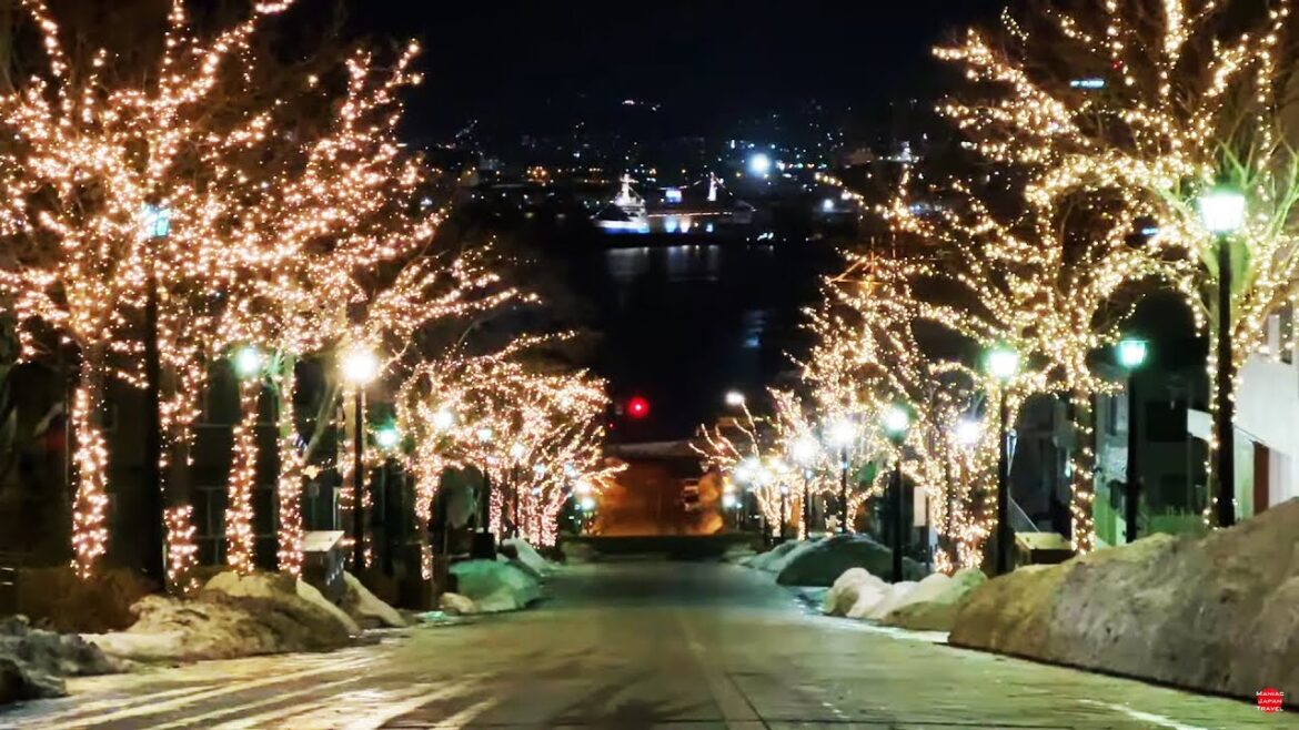 北海道 はこだてイルミネーション見納め 2023/02/28
