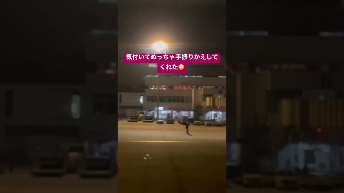 【飛行機】整備士の方が手振ってるのに気付いて両手でめっちゃ振り返してくれた！！ #オレトラ #orangetravelchannel #福岡空港#FUKUOKA#整備士#ANA#b737